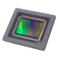 2521C002