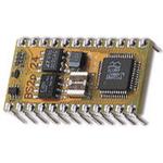BS2P24-IC