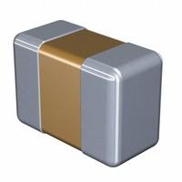 A1-CT