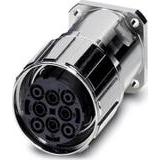 AMK-2-13+