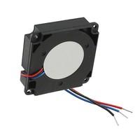 RTS0L-12CG